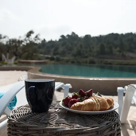 Villa Elegant Apolonas Porto Heli